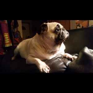 Meet your Posher, Lisa